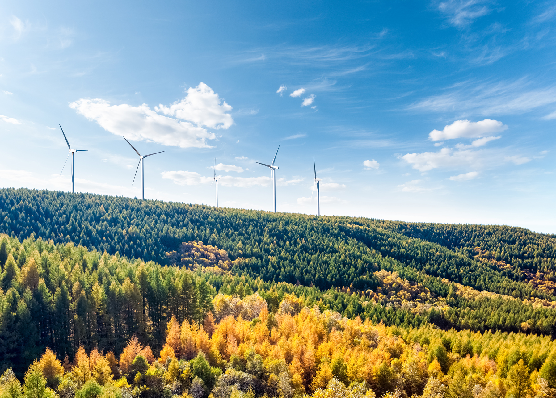 Ce que les audiences attendent vraiment de la communication environnementale en 2026 (et pourquoi les marques se trompent)
